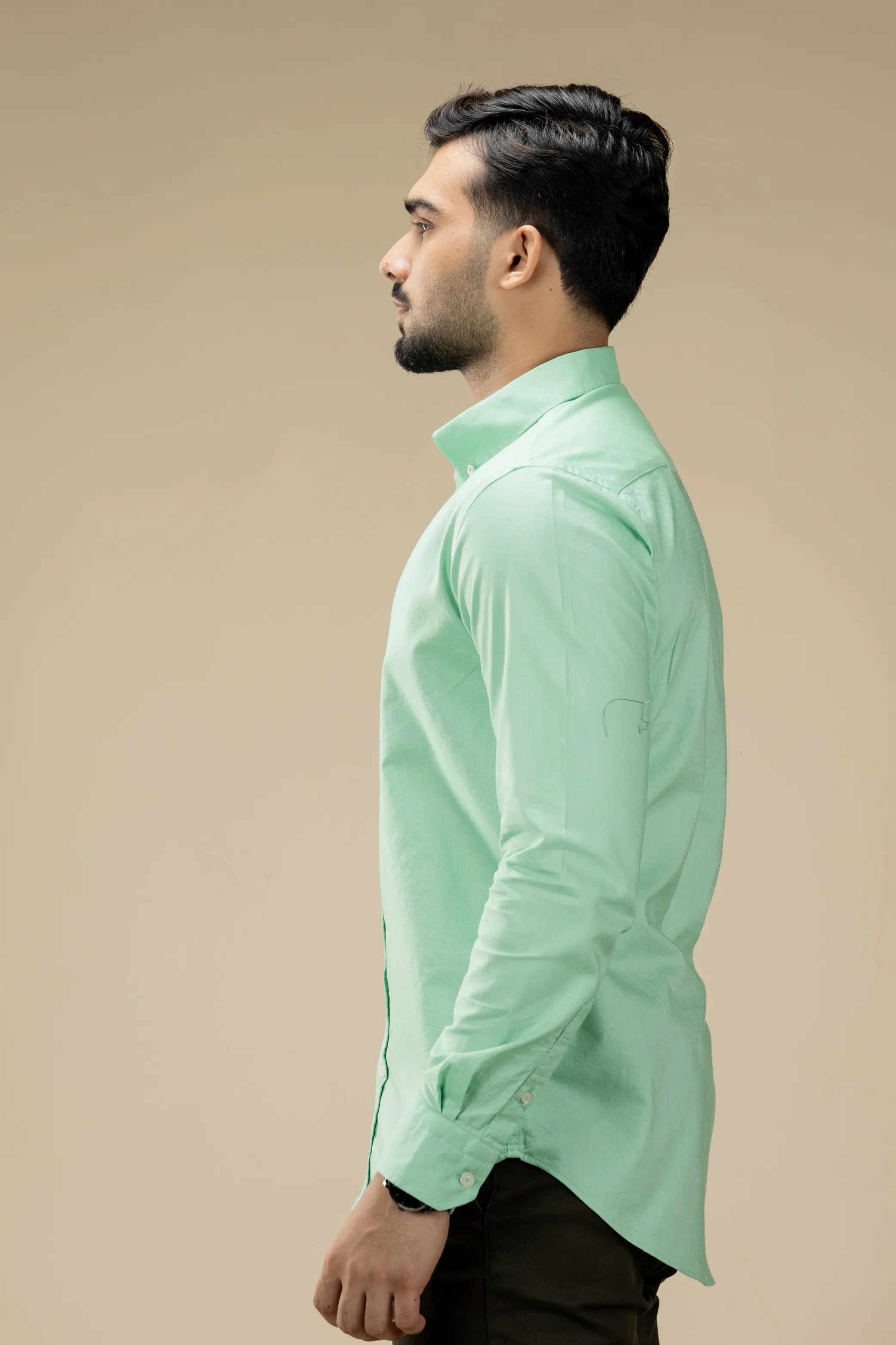 Light Green Washed Oxford Long Sleeve Shirt