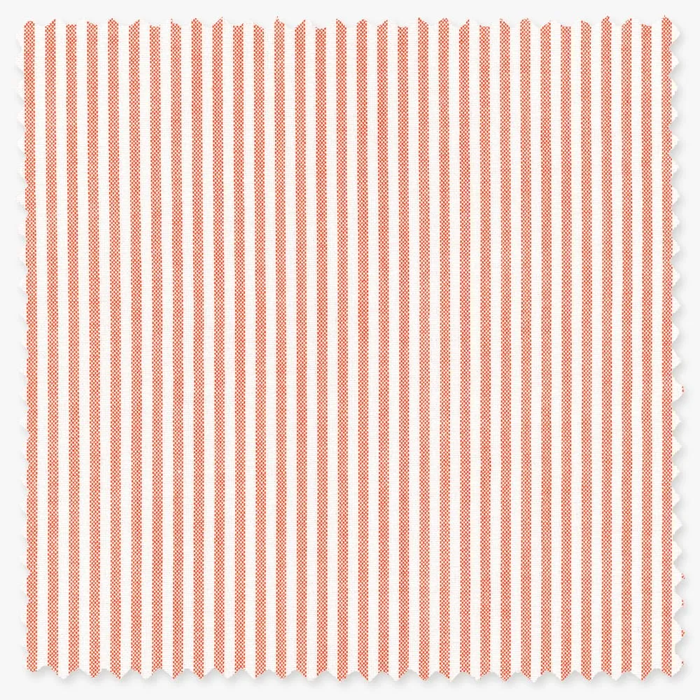 Orange Stripe Spring Oxford
