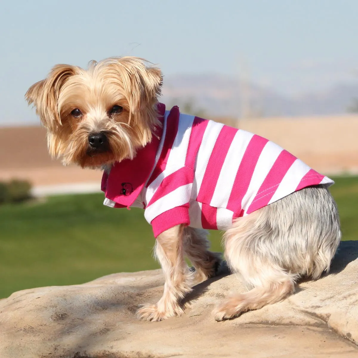 Pink Yarrow & White Striped Polo Shirt