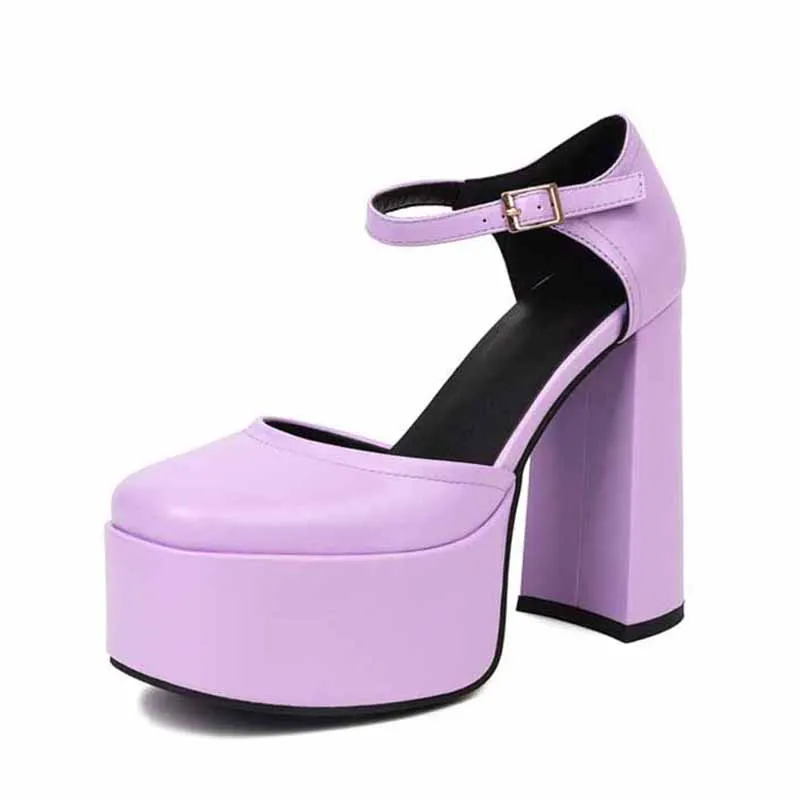 Platform Chunky Heels for Women With Block Heel and Ankle Strap