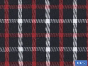Red and White Check Shirt