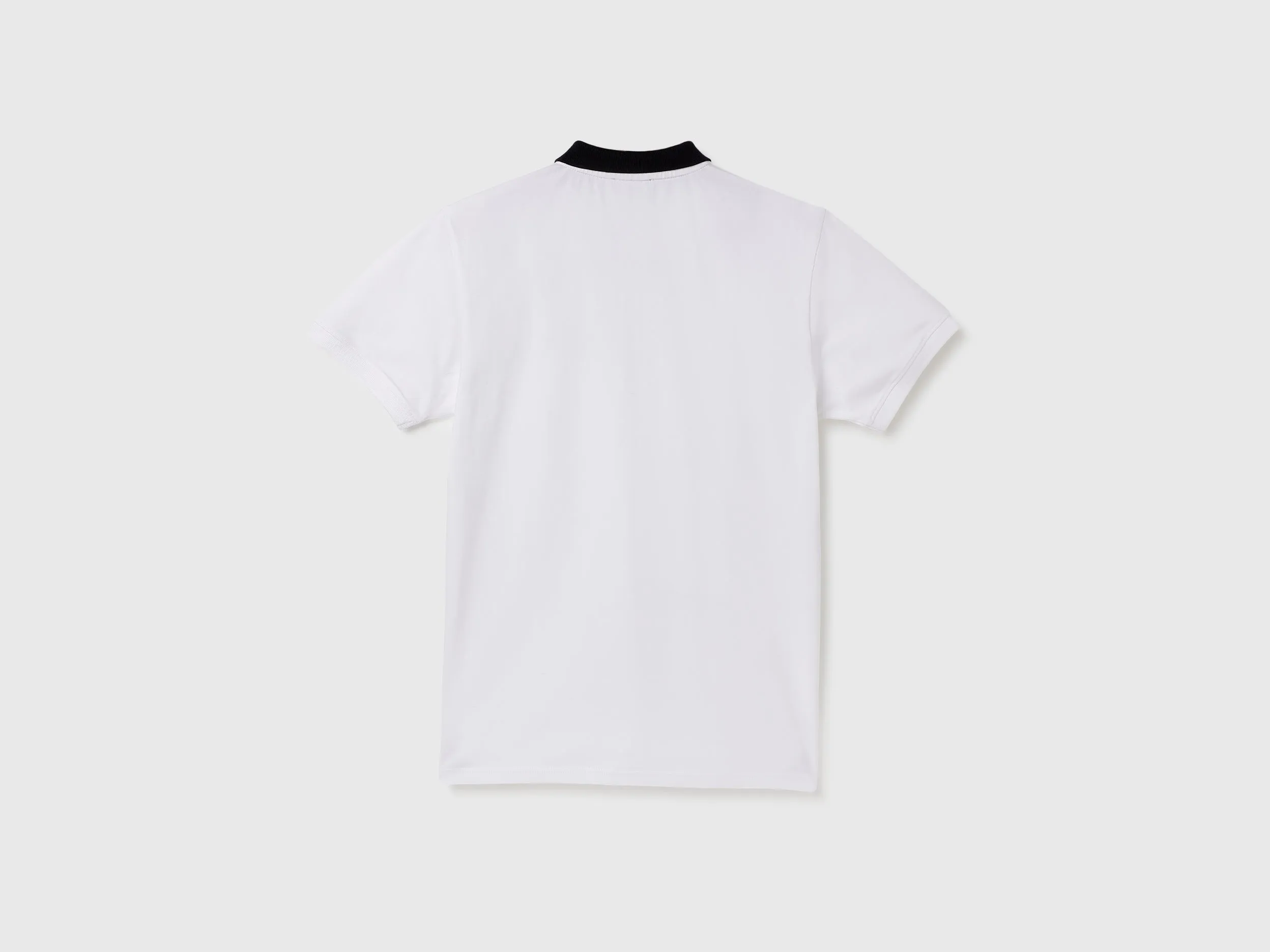 Regular Fit Polo Neck Solid T-Shirts