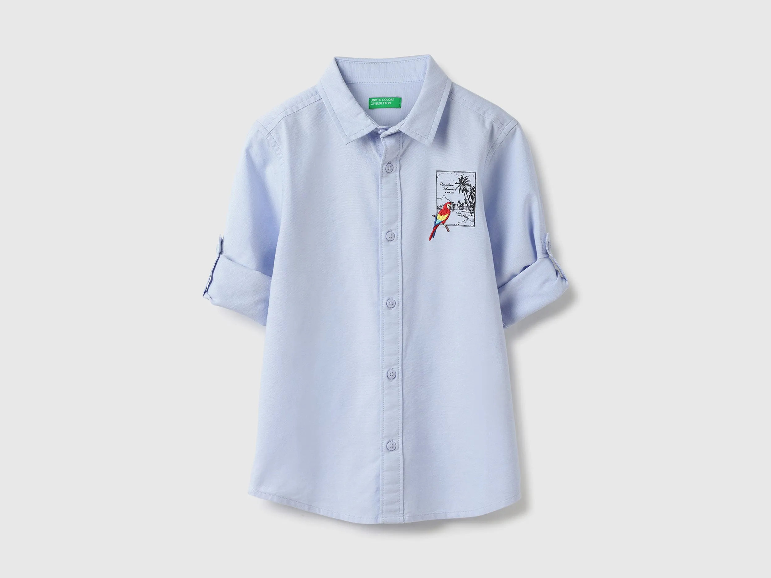 Regular Fit Spread Collar Solid & Embroidered Oxford Shirt