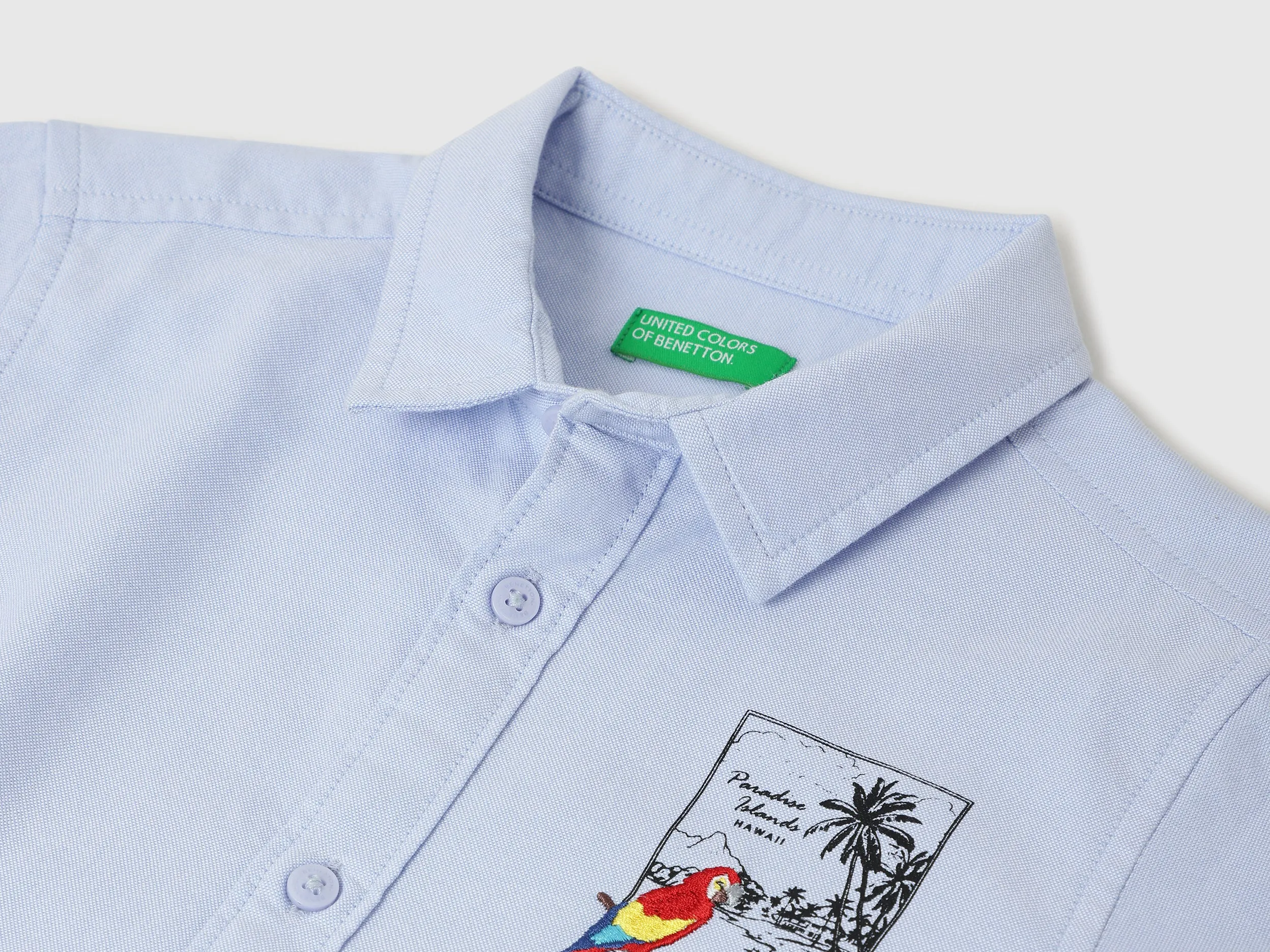 Regular Fit Spread Collar Solid & Embroidered Oxford Shirt