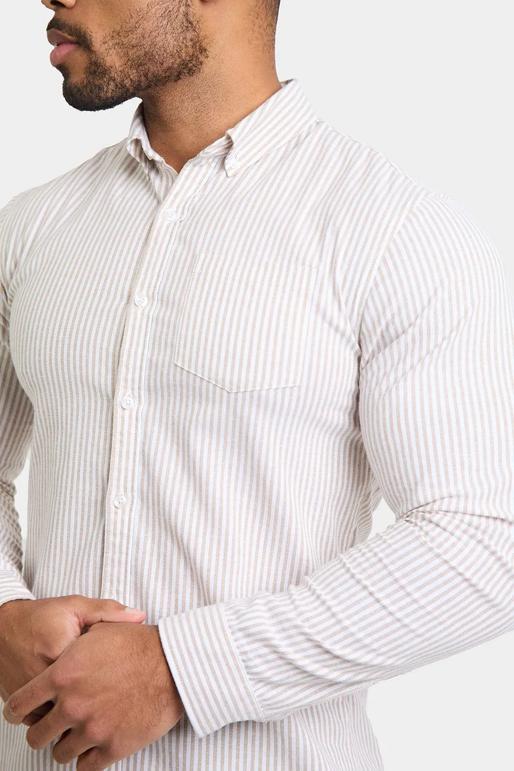 Striped Oxford Shirt in Stone White